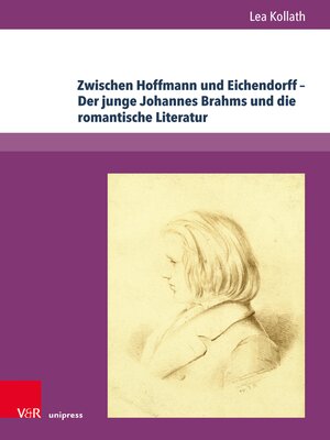 cover image of Zwischen Hoffmann und Eichendorff – Der junge Johannes Brahms und die romantische Literatur